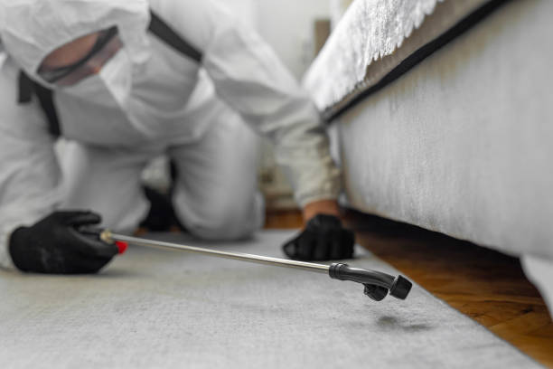 Professional Bed Bug Control technician working in Argyle, TX